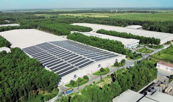 Net Zero: Từ cam kết đến những bước đi tiên phong của doanh nghiệp Việt