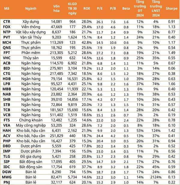 Đầu tư theo Sharpe Ratio: Chiến lược giúp cân bằng lợi nhuận và rủi ro