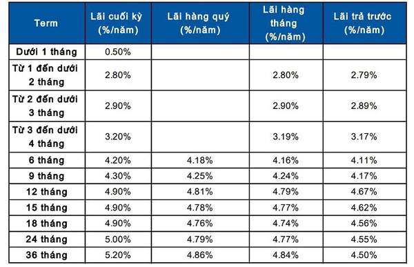 Lãi suất ngân hàng Sacombank mới nhất tháng 12/2024