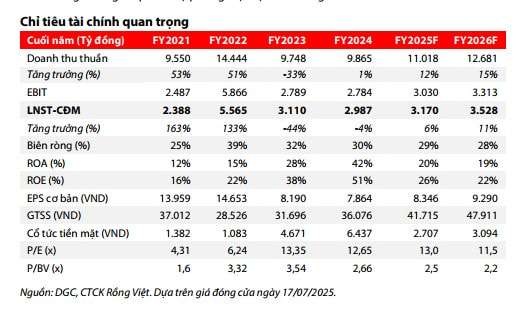 Các chỉ tiêu tài chính quan trọng của DGC
