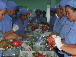 VKFTA- Rộng đường cho nông thủy sản Việt