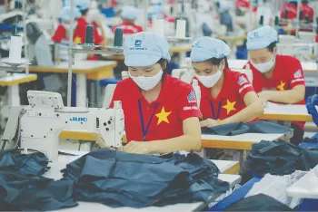 Ảnh bài viết