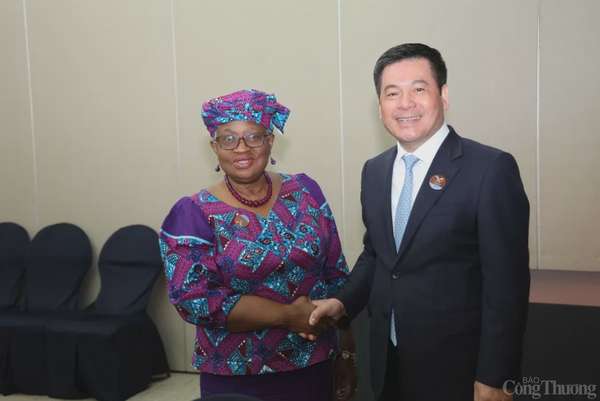 Bộ trưởng Nguyễn Hồng Diên họp song phương với Tổng giám đốc WTO Ngozi Okonjo - Iweala