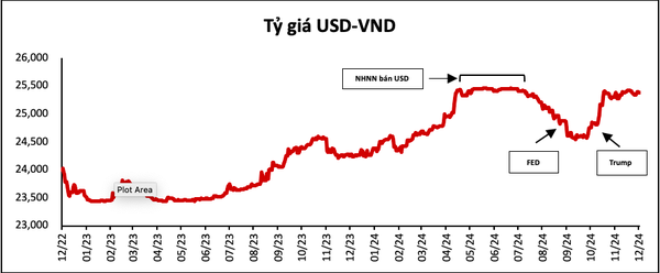 Diễn biến tỷ giá USD-VND tính đến tháng 11/2024. Nguồn: VincaCapital.