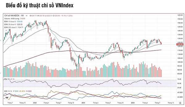 SSI Research