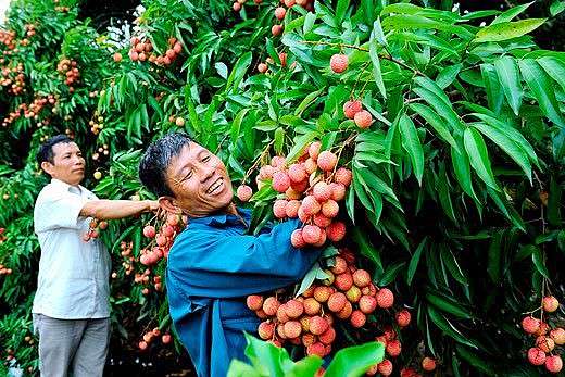 Ảnh bài viết