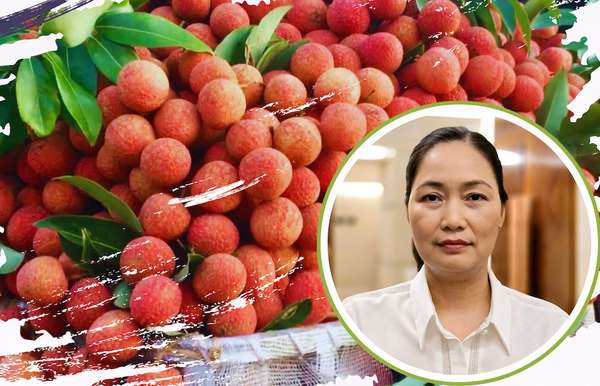 Hải Dương: Xúc tiến thương mại ''chắp cánh'' cho xuất khẩu nông sản