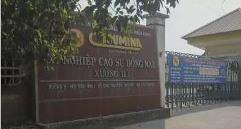 Ảnh bài viết