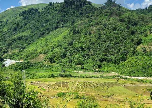Hồi sinh Đông Pao sau 7 năm: Việt Nam sắp có dự án đất hiếm thuộc top lớn nhất thế giới
