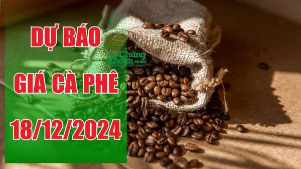 Dự báo giá cà phê ngày 18/12: Arabica lập đỉnh 50 năm, cà phê nội địa liệu có phục hồi?