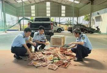 Ảnh bài viết