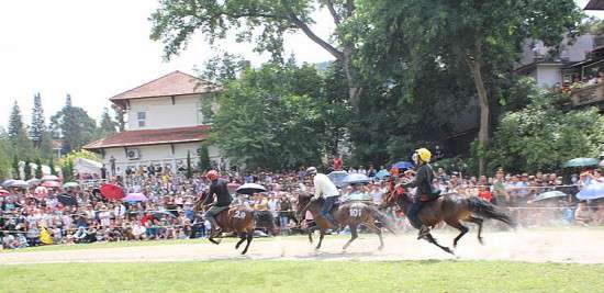 Ảnh bài viết