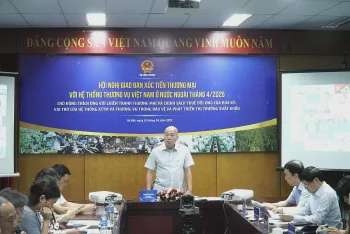 Ảnh bài viết