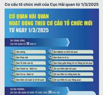 Bộ Tài chính bổ nhiệm 3 Phó Cục trưởng Cục Hải quan