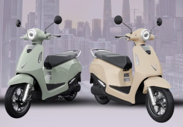 vf(1).png