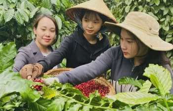 Ảnh bài viết