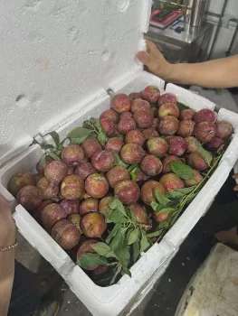 Ảnh bài viết