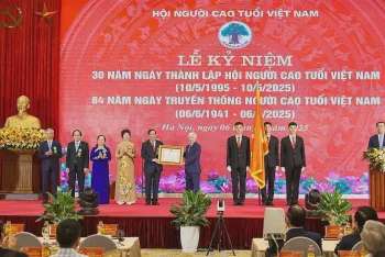 Chủ động sắp xếp, kiện toàn tổ chức Hội Người cao tuổi