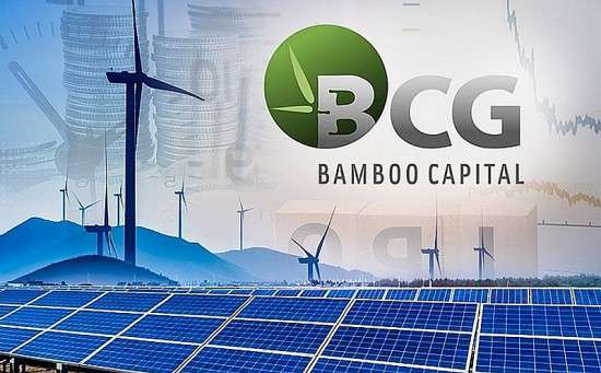 Cổ phiếu liên quan đến Bamboo Capital bị ‘bán tháo’ cực mạnh