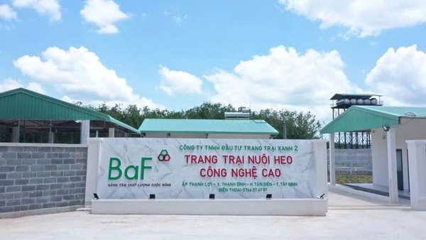 Đẩy mạnh hoạt động M&A, dòng tiền kinh doah của BaF Việt Nam vẫn đang 