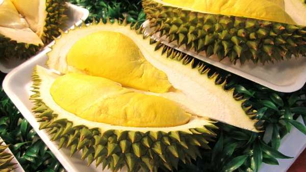 Giá sầu riêng hôm nay 24/11: Musang King tăng mạnh, thị trường nhộn nhịp