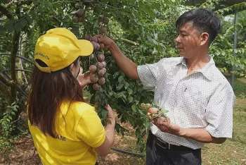 Ảnh bài viết