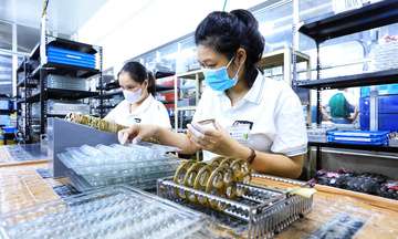 Làn sóng đầu tư từ châu Âu chuẩn bị đổ bộ vào Việt Nam