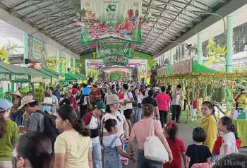 Ảnh bài viết