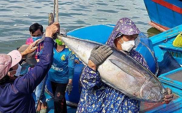 Phó Thủ tướng Trần Lưu Quang: Một số nhiệm vụ, giải pháp trọng tâm để gỡ cảnh báo 