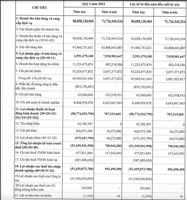 Áp lực chi phí lãi vay, Vinahud báo lỗ hơn 50 tỷ đồng trong ba tháng đầu năm 2024