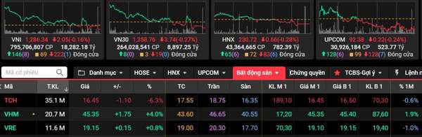 VN-Index giảm hơn 2 điểm, cổ phiếu TCH chìm trong sắc đỏ sau thông tin thanh tra