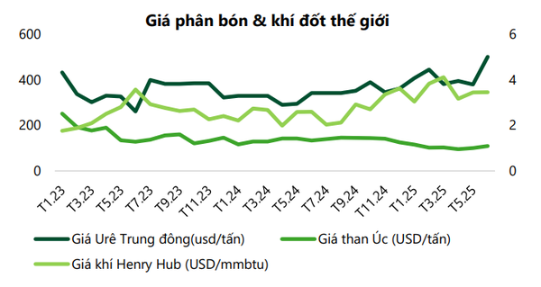 giá phân bón