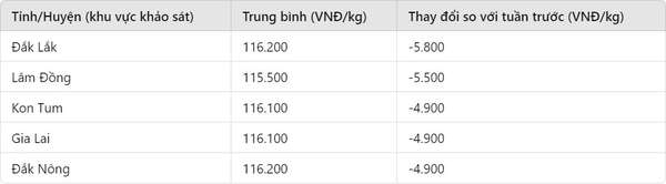 Giá cà phê hôm nay 7/10: Sụt giảm mạnh, tương lai thị trường đầy thách thức