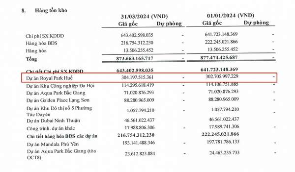 Sở hữu dự án 10.000 tỷ, Apec Land Huế báo lỗ đậm