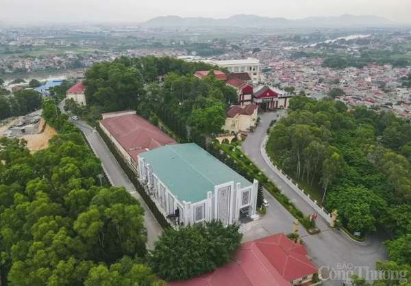 Đồng ý bổ sung mục tiêu ''kinh doanh vũ trường'' cho quán bar của Công ty Phượng Hoàng