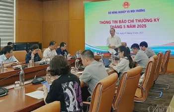 Ảnh bài viết