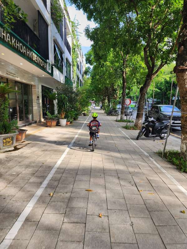 Em bé đạp xe đi học trên con đường đầy cây và nắng. Ảnh: Thắng Nguyễn