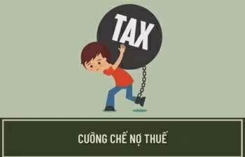 Quảng Bình: Cưỡng chế thuế Công ty xây dựng Danh Thành Phát