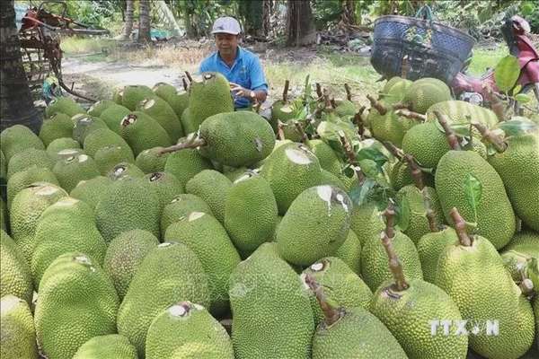 Ảnh bài viết