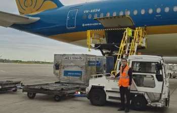 Vải tươi Việt Nam đến Paris: Tín hiệu khởi đầu lạc quan