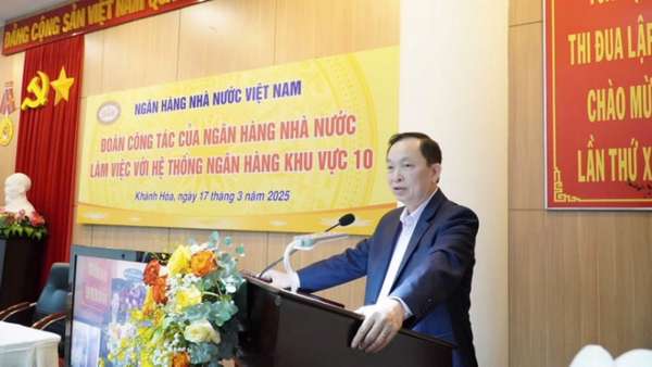 Phó Thống đốc Thường trực Đào Minh Tú phát biểu chỉ đạo tại buổi làm việc