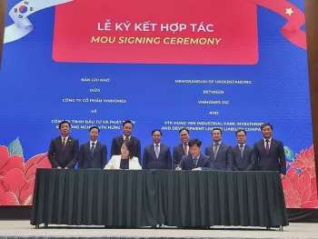 Ảnh bài viết