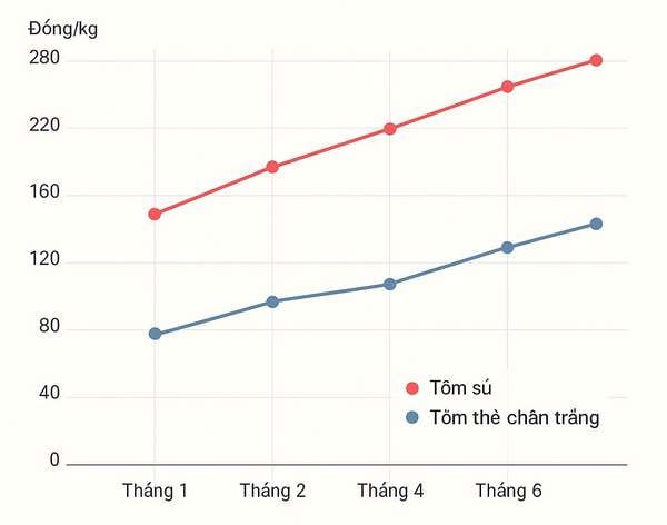 Giá tôm tăng tại Bạc Liêu trong 6 tháng gần nhất