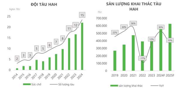 Chứng khoán DSC: Xếp dỡ Hải An thiếu kinh nghiệm trên thị trường quốc tế, phải cạnh tranh bằng giá