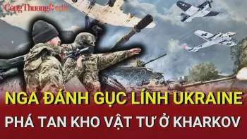 Ảnh bài viết