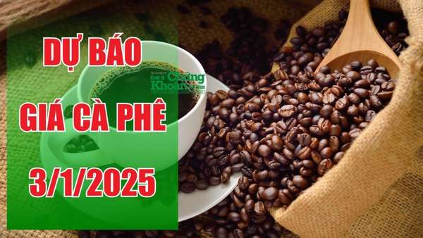 Dự báo giá cà phê ngày 3/1/2024: Liệu có hồi phục trong thời gian tới?