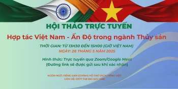 Ảnh bài viết