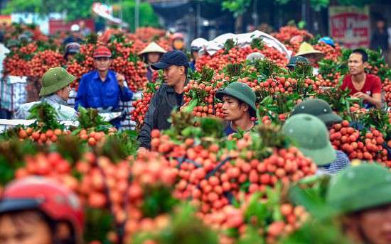 Ảnh bài viết