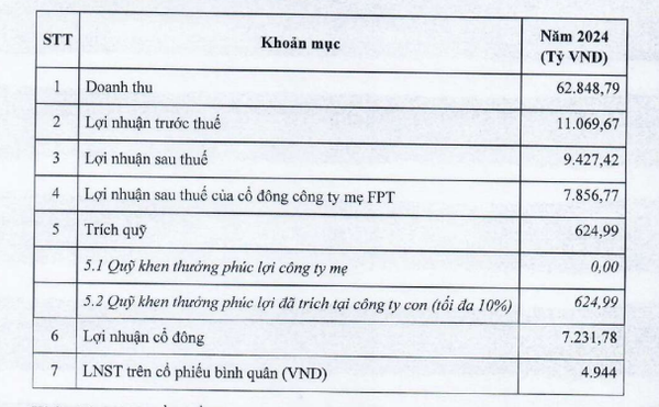 Kết quả kinh doanh FPT năm 2024 của FPT 