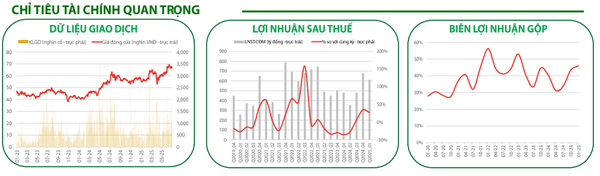 Chỉ tiêu quan trọng của REE